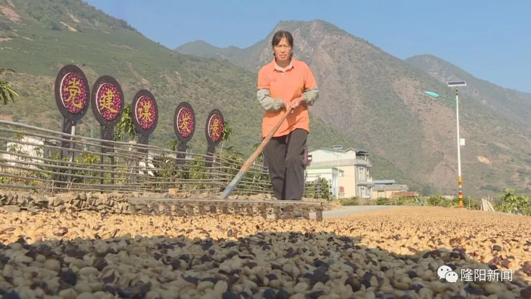 柳寨村民委员会领导团队，乡村发展的核心力量引领者