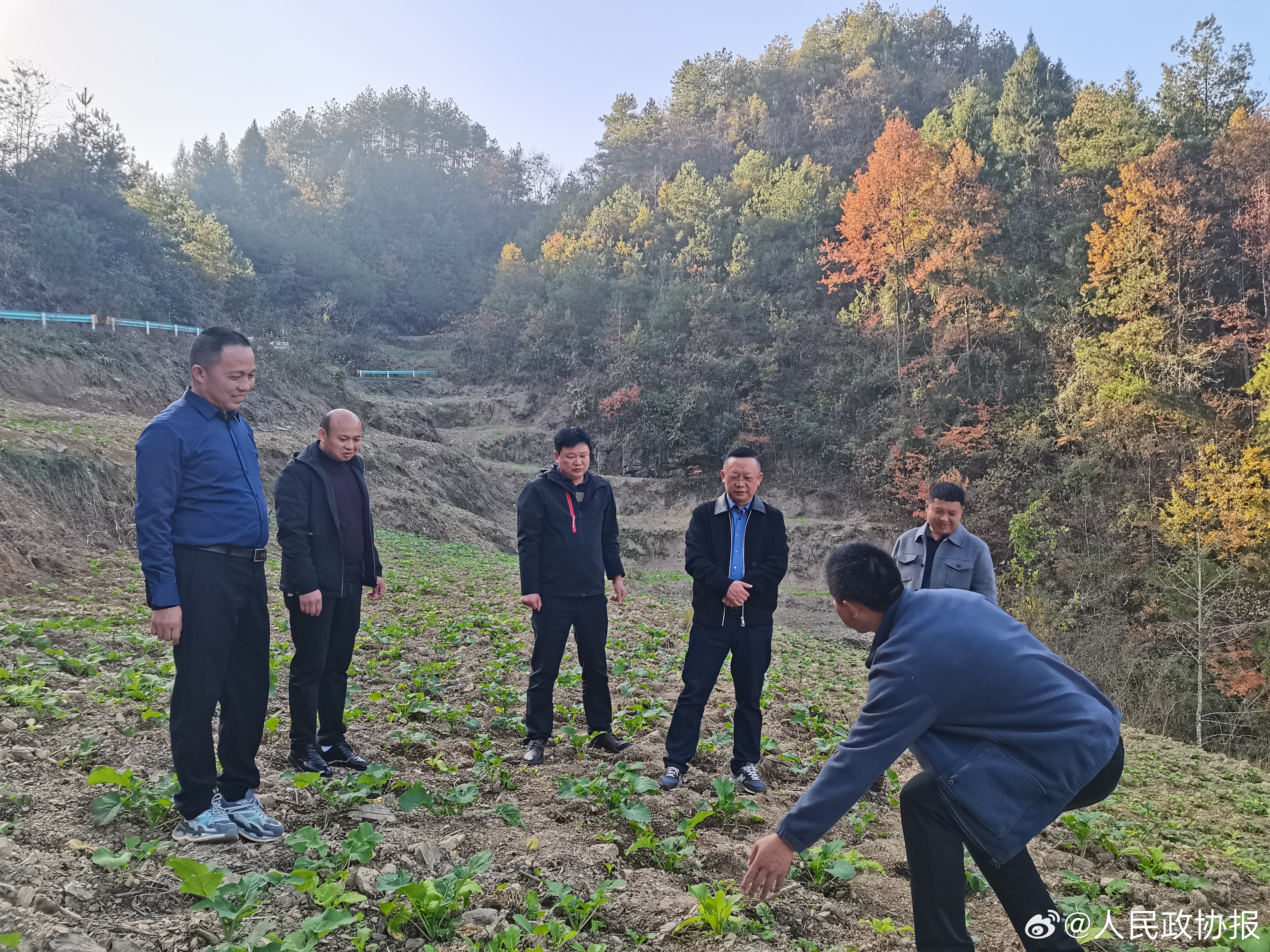 保康县农业农村局最新动态报道